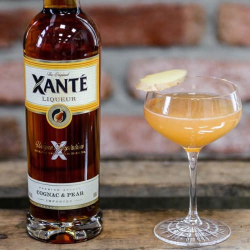 Xanté Ginger Martini