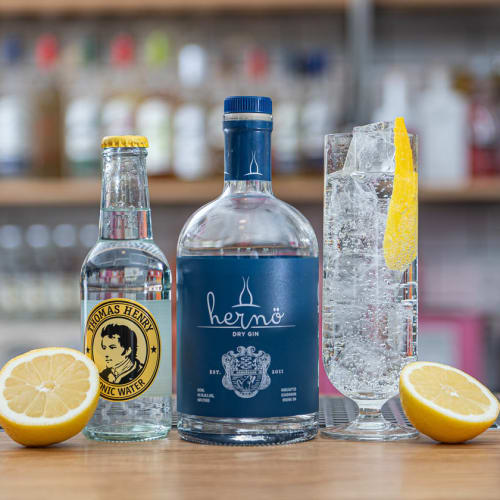 Gindrinkar - 10 recept med gin som bas | folk o folk