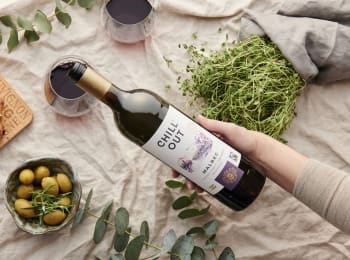 Chill Out Malbec Argentina  punaviini