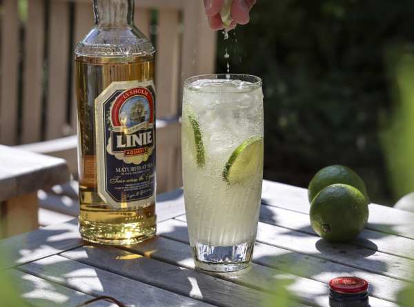 LINIE Ginger