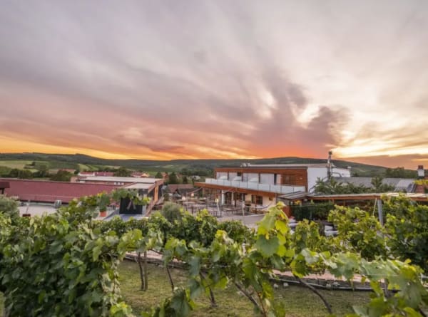 Hagn winery