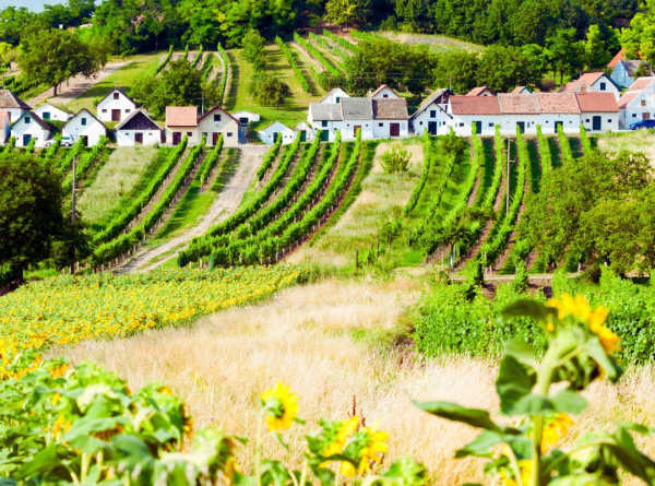 Niederösterreich
