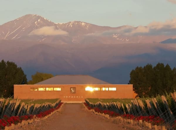 FINCA Sophnia