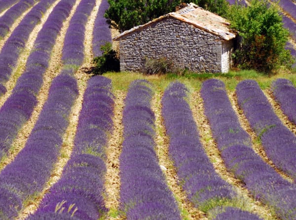 Philipson Söderberg - France