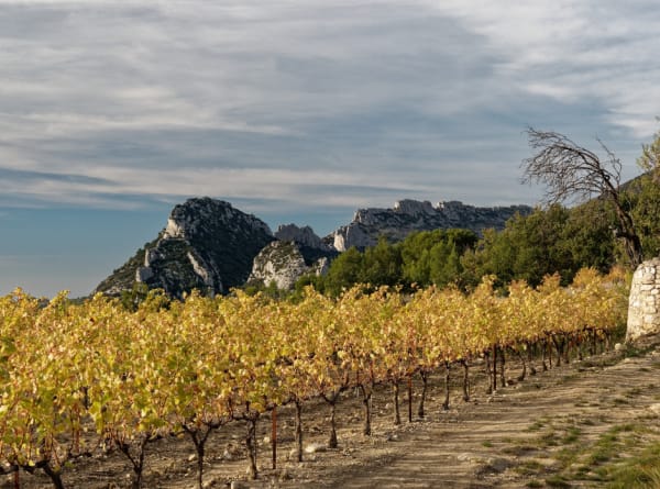 Coteaux d'Aix-en-Provence