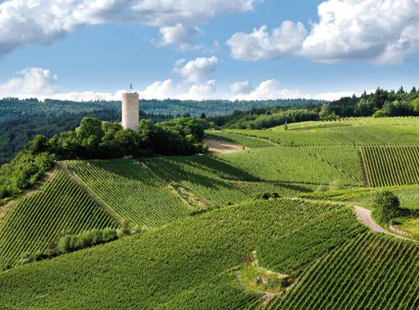 Weingut Robert Weil