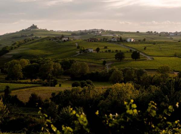 Il Falchetto