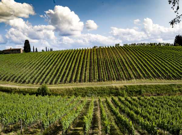 Ruffino