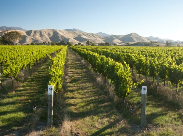 New Zealand