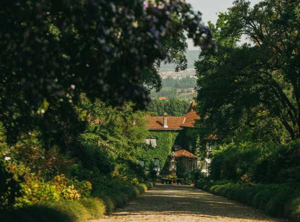 Philipson Söderberg - Aveleda - Scenery