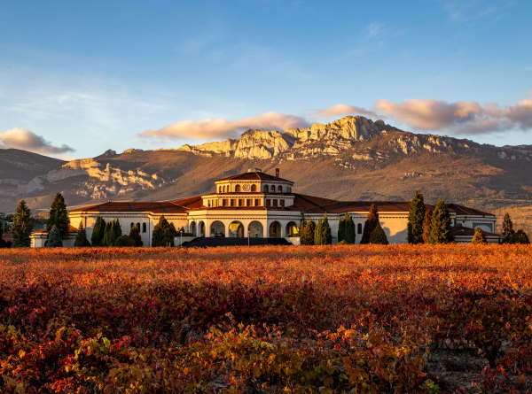 Bodegas Campillo - Location