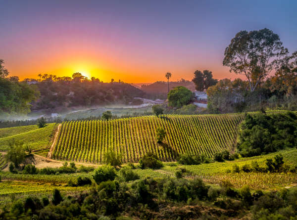 Napa Valley