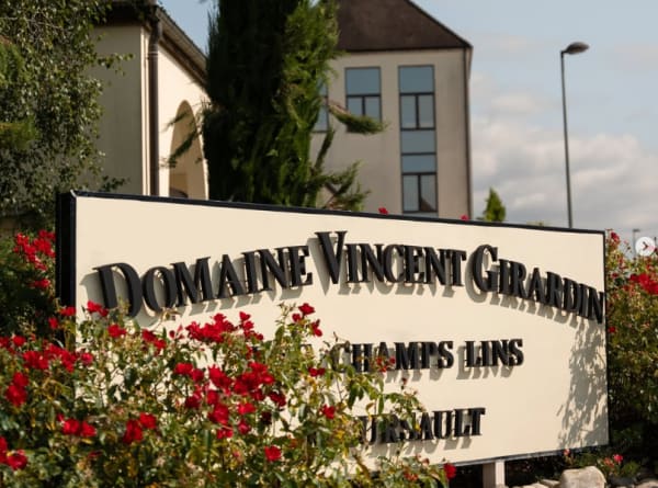 Vincent Girardin_domain