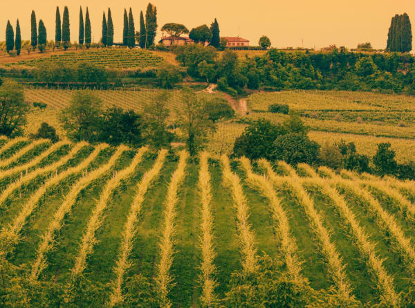 PS - Piemonte example