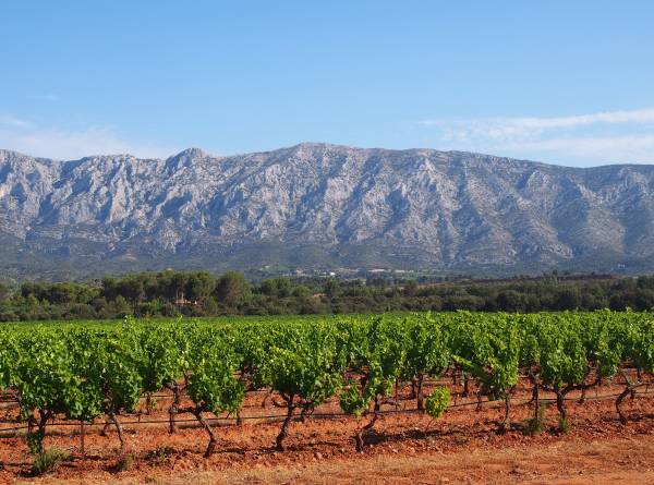 Chateau Gassier -viinitila