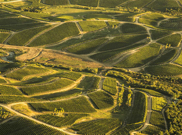 Bodega_Garzon