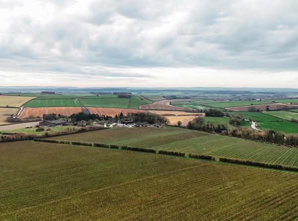 langham-wine-estate