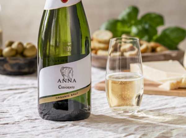 anna de codorniu viinipullo