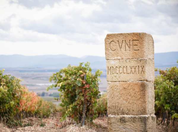 cvne viinitarha