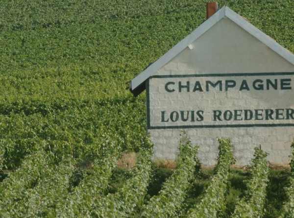 Louis Roederer