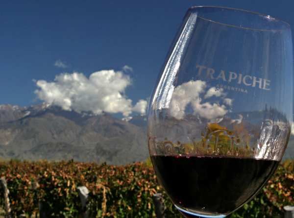 Trapiche Pinot Noir Oak Cask kunniamaininta Vuoden Viinit 2017 -kisassa
