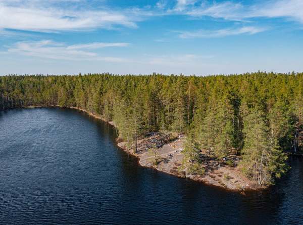 metsämaisema