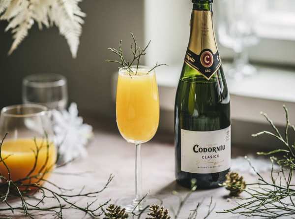 mimosa bellini