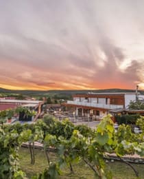 Hagn winery