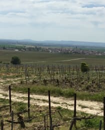 Saint-Réol
