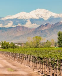 Philipson Söderberg - Argentina