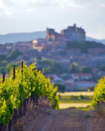 SO Vignerons