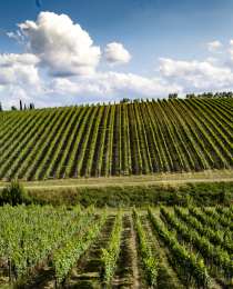Ruffino
