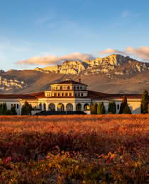 Bodegas Campillo - Location
