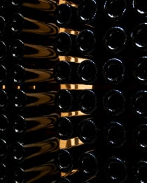 Ribera del Duero