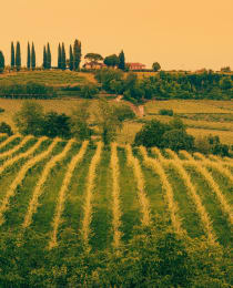 PS - Piemonte example