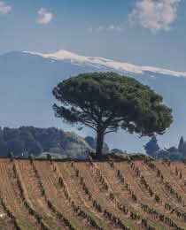Rhône