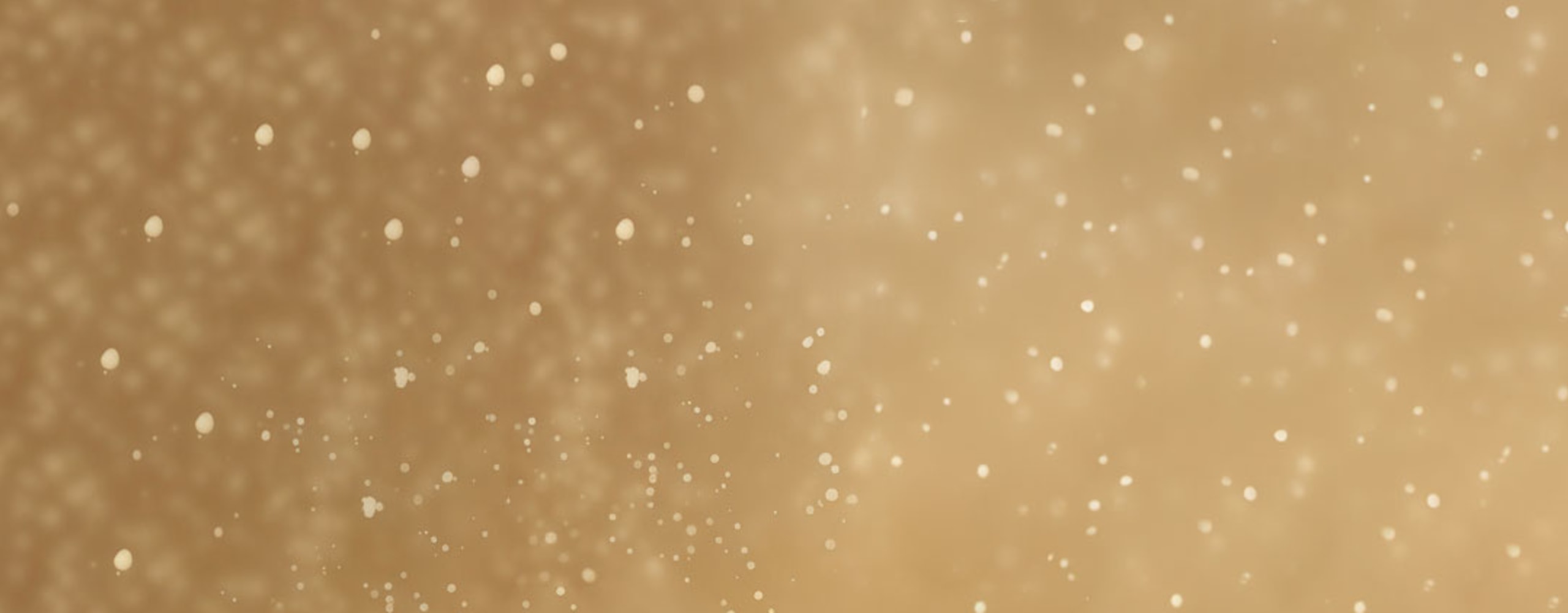 KK-Gingerbread-BGOrderform3