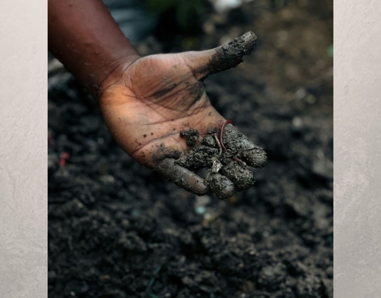 Philipson Söderberg Sustainability soil 