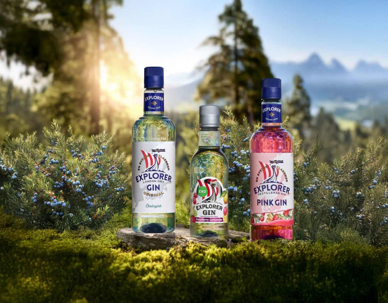 Explorer ginsortiment