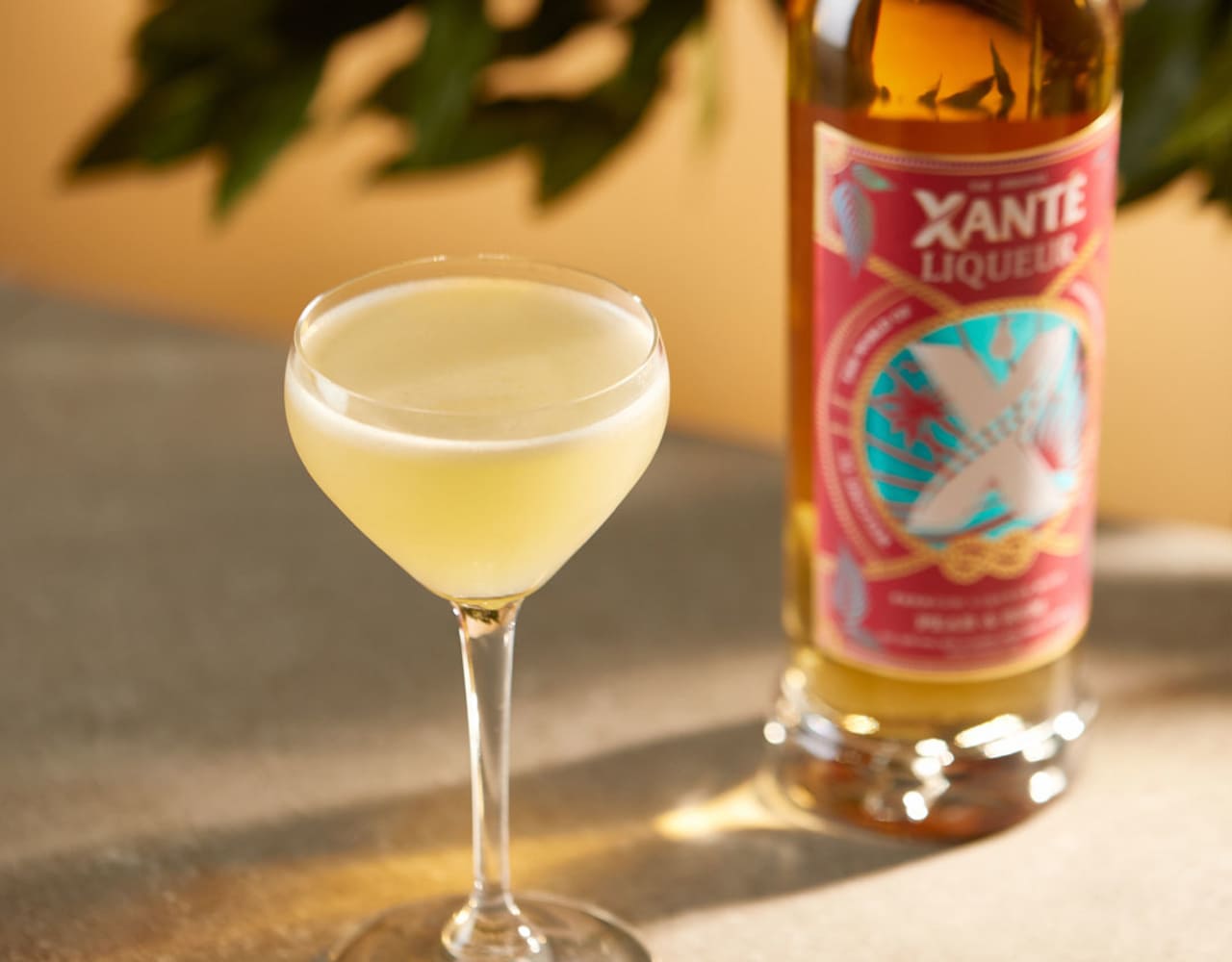 Xanté Rum & Pear Daiquiri