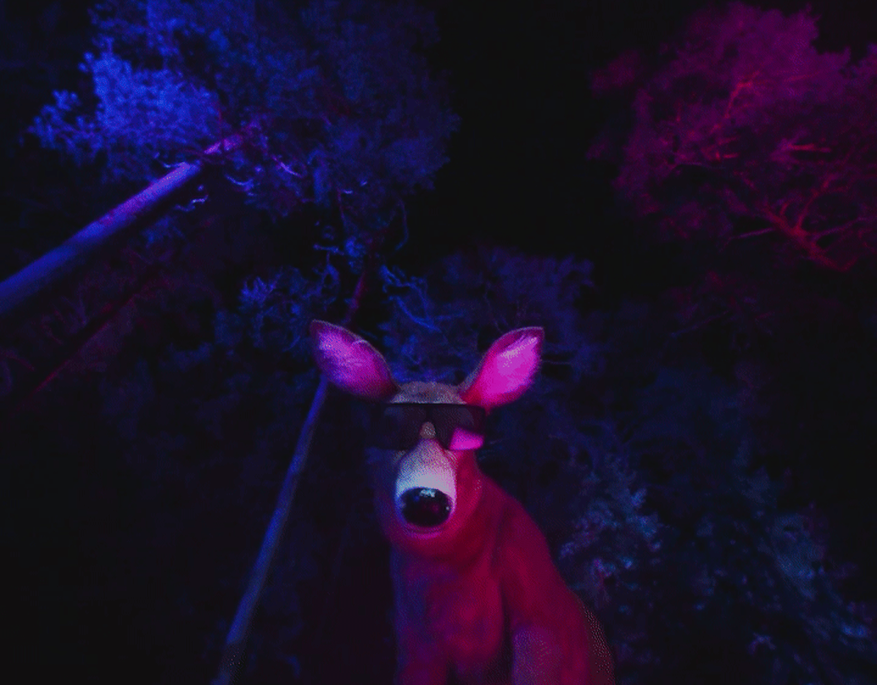 Koskenkorva - GIF Party elk with sunglasses 
