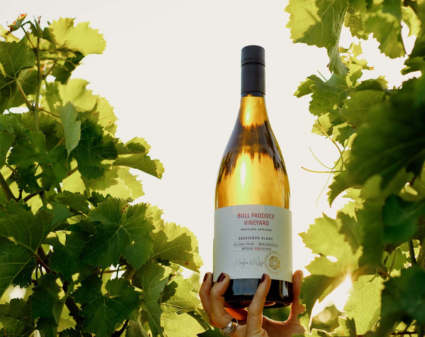 Rapaura_Bull_Paddock_Sauvignon_Blanc_viinitarhalla