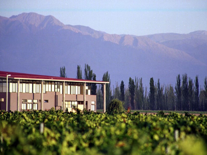 Bodegas Zolo, i Mendozas första vinregion Luján de Cuyo.