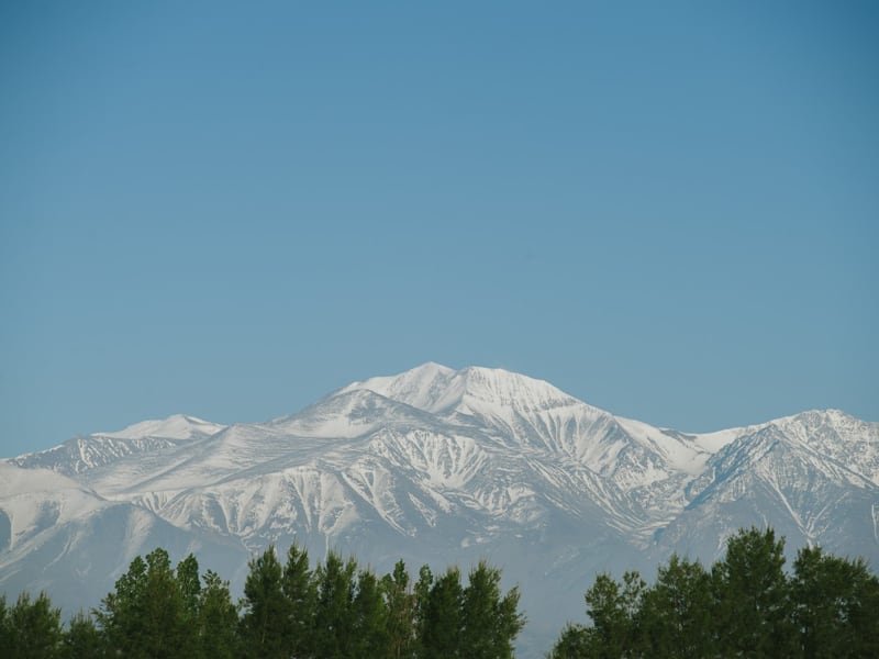 Anderna vid vingården Zolo.