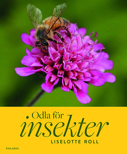Boken Odla för insekter