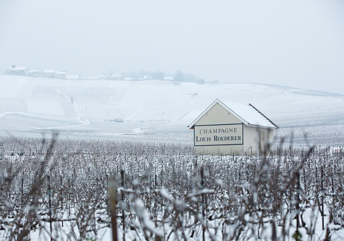 Louis Roederer i snö