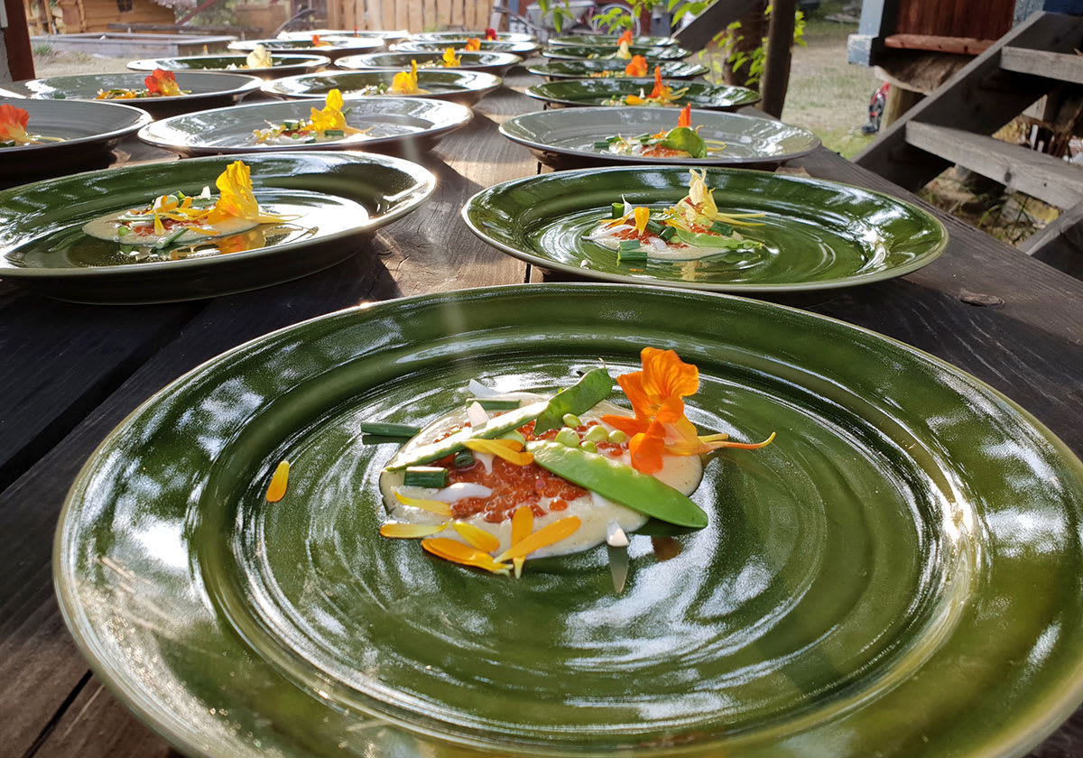 Tallrikar av Mikaela Willers