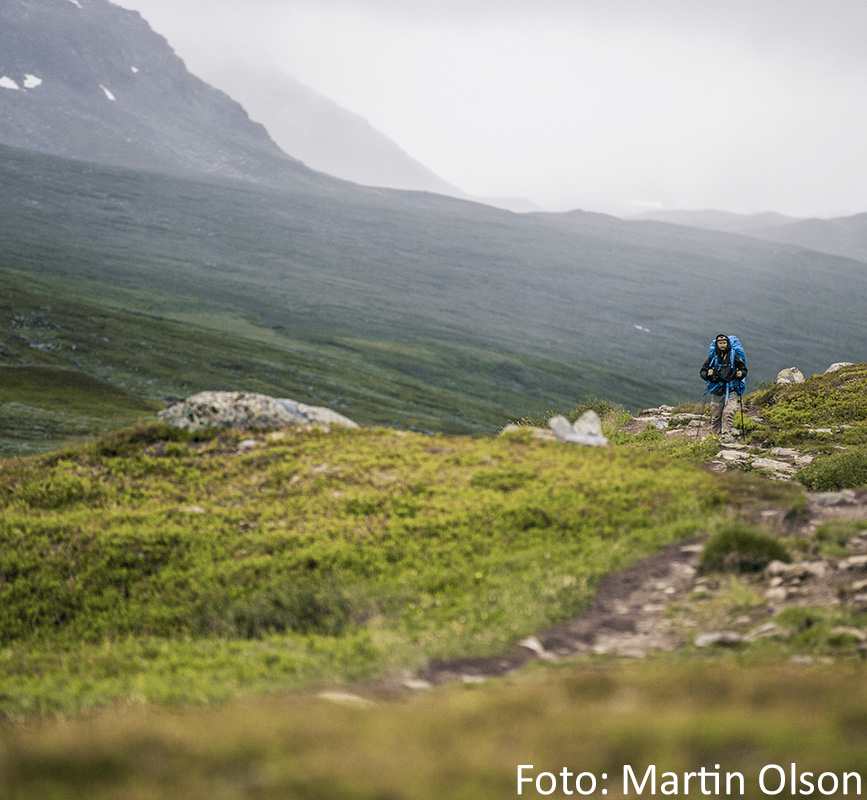 Vandringsled i Vindelfjällen - Svenska Turistföreningen