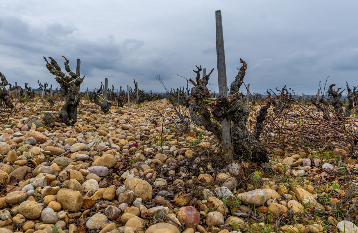 Châteauneuf-du-Pape - fakta och vintips | folk o folk