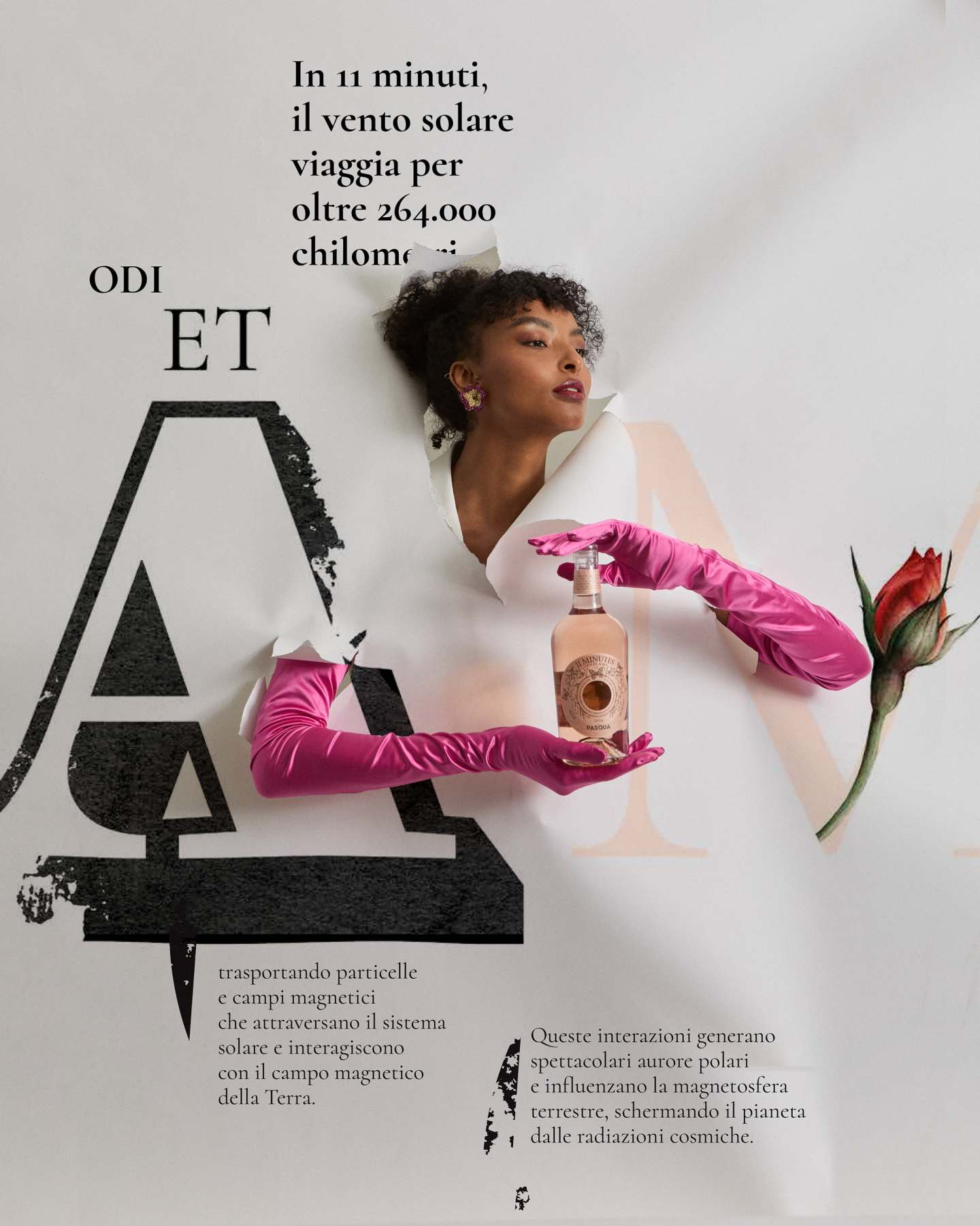 11_Minutes_2024_pasquawines